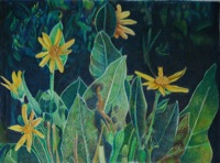Gibbs Lake Flowers - Colored Pencil